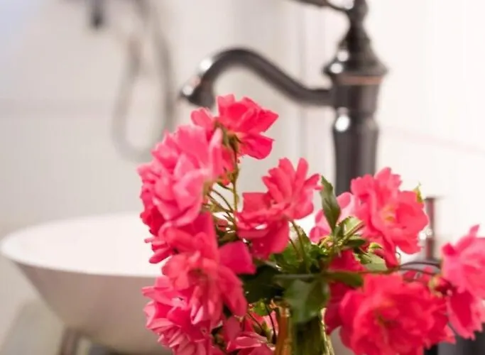 Apartament Mooki Loft Und Ossiacher Gerlitzen Own Villach