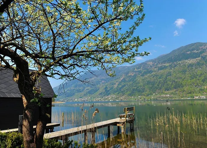 Mooki Loft Und Ossiacher Gerlitzen Own